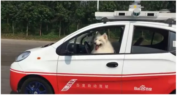 國內(nèi)外無人駕駛是什么水平？